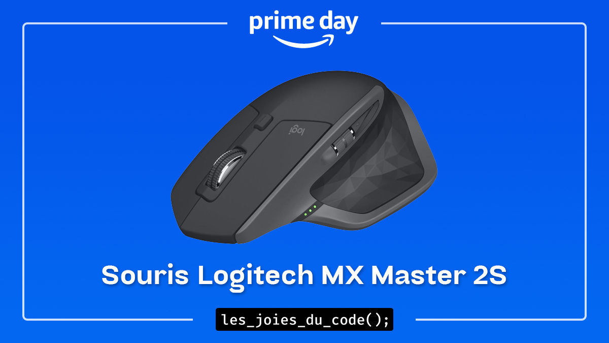 Souris sans fil Logitech MX Master 2S Graphite