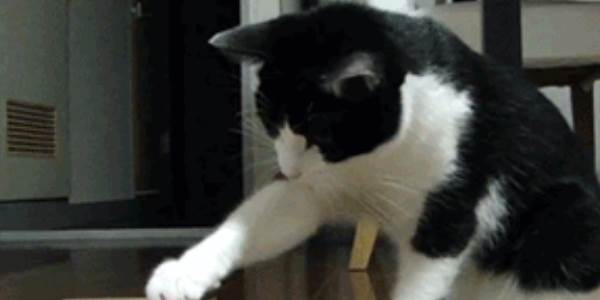 Quand un bout de code a un fonctionnement inattendu