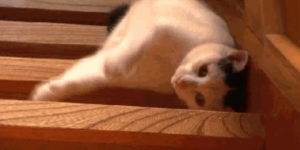 Quand le téléphone d'astreinte sonne à 4h du matin