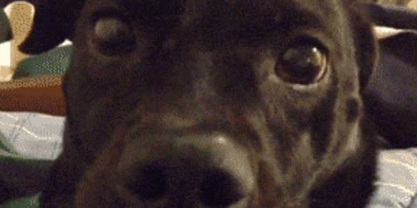 Quand on me parle d'une mise en prod le vendredi