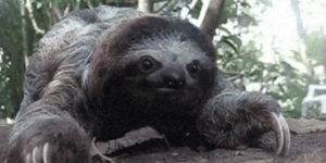 Quand j'approche du bug fatal en debug pas à pas