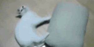 Quand je scroll mon code à la recherche d'une ligne