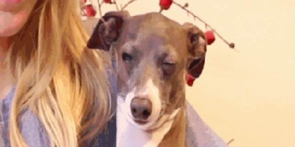 Quand le client me présente fièrement les maquettes qu'il a dessinées