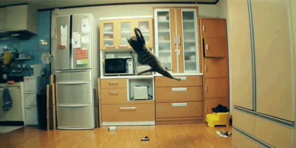 Quand je corrige un bug de justesse pendant la présentation