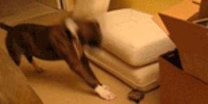 Quand je code avec la musique à fond