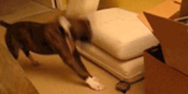 Quand je code avec la musique à fond