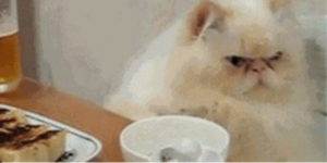 Quand je me rends compte qu'une nouvelle personne s'est installée dans l'open space