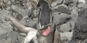 Quand je suis d'astreinte et que mon téléphone sonne