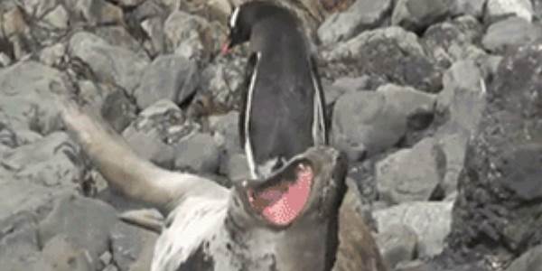 Quand je suis d'astreinte et que mon téléphone sonne