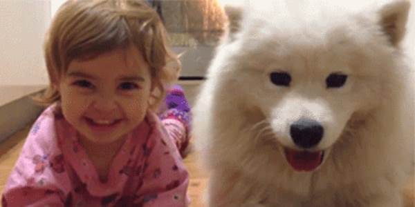 Quand le commercial déclenche notre easter egg en démo