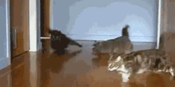 Quand on nous annonce que les commerciaux vont participer à la réunion