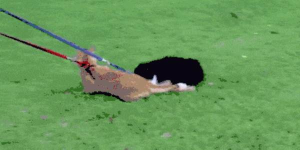 Quand l'équipe technique est obligée d'assister à une réunion avec le client