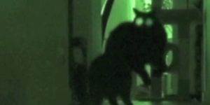 Quand je tape sur mon clavier dans le noir