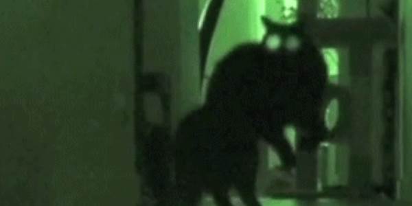 Quand je tape sur mon clavier dans le noir