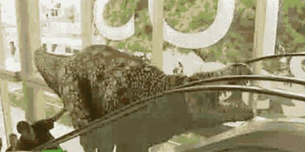 Quand j'arrive à faire passer une grosse requête SQL du premier coup