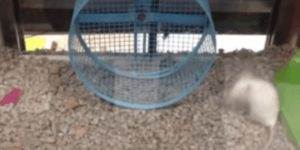 Quand mon code ne fait pas vraiment ce que j'attends