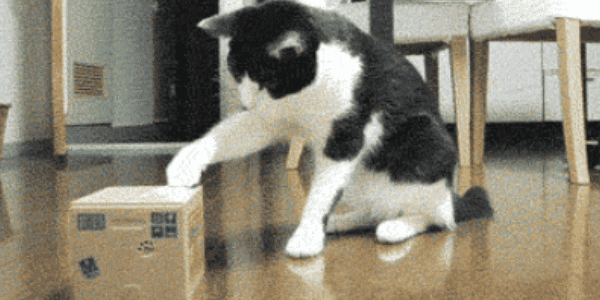 Quand j'essaie un nouveau framework