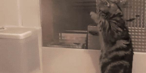 Quand je teste un framework sans doc