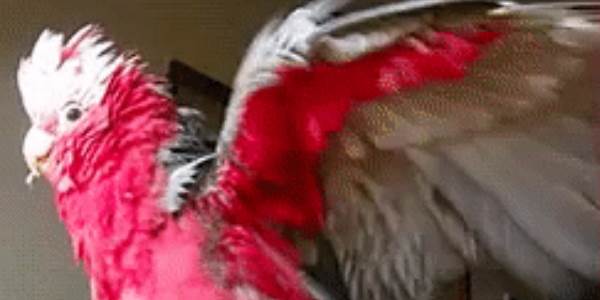 Quand j'ai enfin corrigé un bug