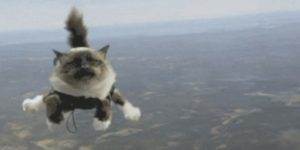 Quand on passe en prod un code qui n'a pas été validé en recette