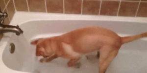 Quand je cherche désespérement dans les logs pourquoi l'appli vient de planter