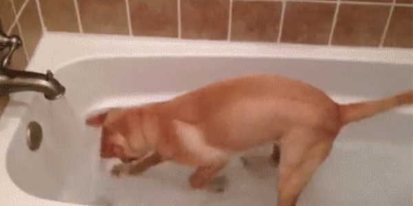 Quand je cherche désespérement dans les logs pourquoi l'appli vient de planter