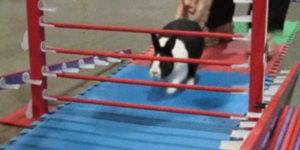 Quand on a la flemme de contourner un message d'erreur