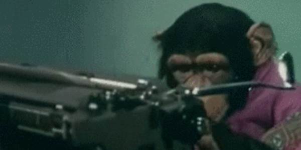 Quand je fais du lorem ipsum en masse