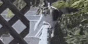 Quand je code sans autocomplétion