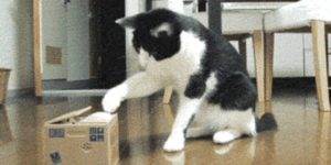 Quand j’expérimente un nouveau framework