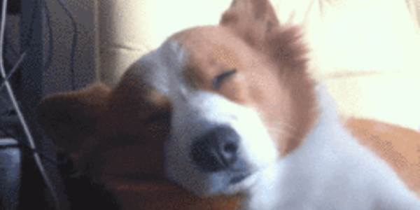 Quand tout à coup on me demande mon avis en réunion