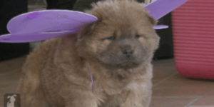 Quand on me demande de m'occuper du design