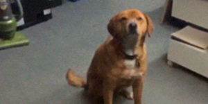 Quand on essaie de m'attribuer un projet dont je ne veux absolument pas