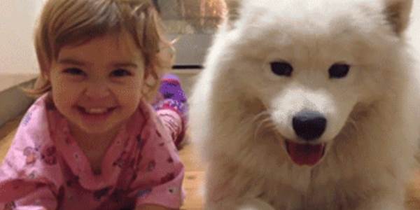 Quand le commercial déclenche notre easter egg en démo