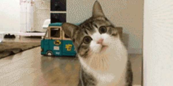 Quand on me montre un framework qui va m'éviter des semaines de dev