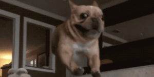 Quand je quitte le taf après que ma mise en prod ait complètement foiré