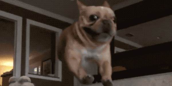 Quand je quitte le taf après que ma mise en prod ait complètement foiré