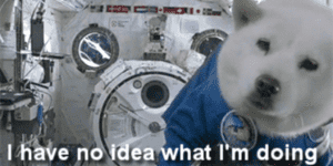 Quand je teste une API sans lire sa doc