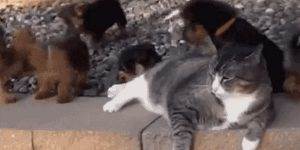 Quand je suis en pause et que le stagiaire vient me poser des questions