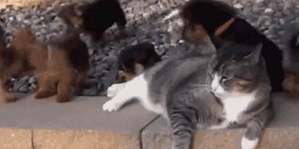 Quand je suis en pause et que le stagiaire vient me poser des questions