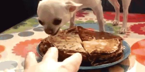 Quand le sysadmin m'interdit l'accès root