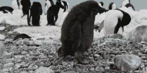 Quand je n'ai pas encore pris de café