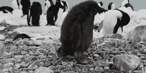 Quand je n'ai pas encore pris de café