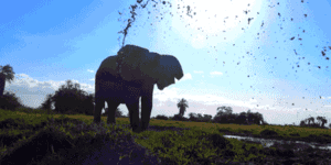 Quand le commit d'un collègue casse mon code