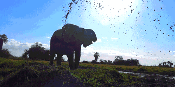 Quand le commit d'un collègue casse mon code