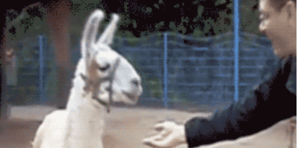 Quand un collègue me demande un coup de main le vendredi soir