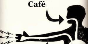 Fonctionnement du café sur votre organisme