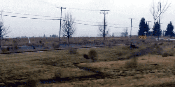 Les utilisateurs de GitHub après l'annonce de Microsoft