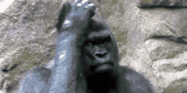 Quand je cherche une explication à un bug