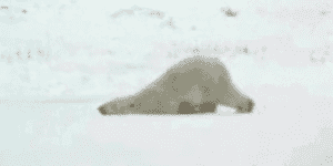 Quand je retourne à mon poste après manger